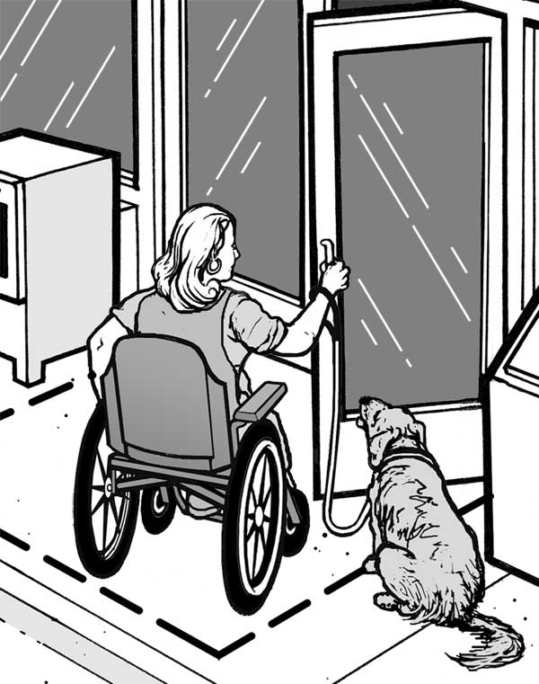 A woman using a wheelchair and her service animal enter a building.